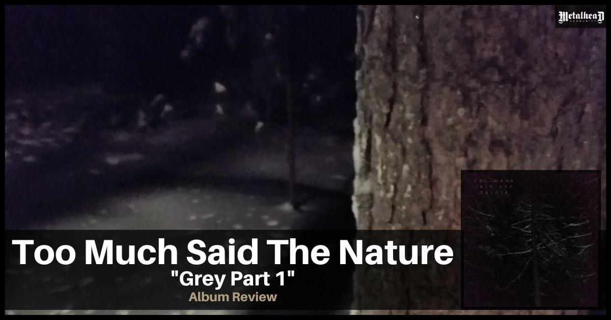 Too Much Said The Nature - Grey Part 1 - Album Review - Ambient Black Metal from Sydänmaa, Finland