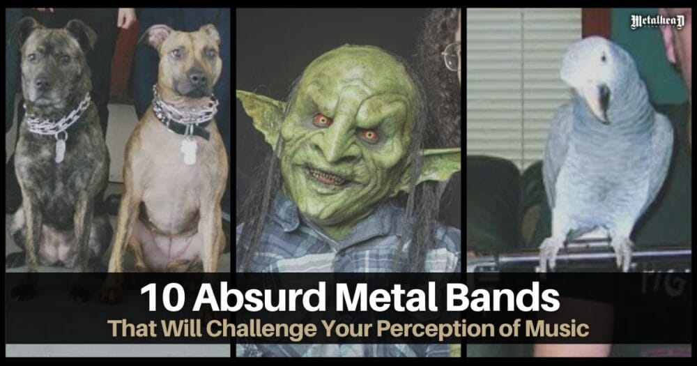10 Absurd Metal Bands That Will Challenge Your Perception of Music
